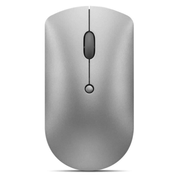 Souris sans fil LENOVO 600 Silent - Bluetooth 5.0 - Double connexion - Silencieuse - Gris